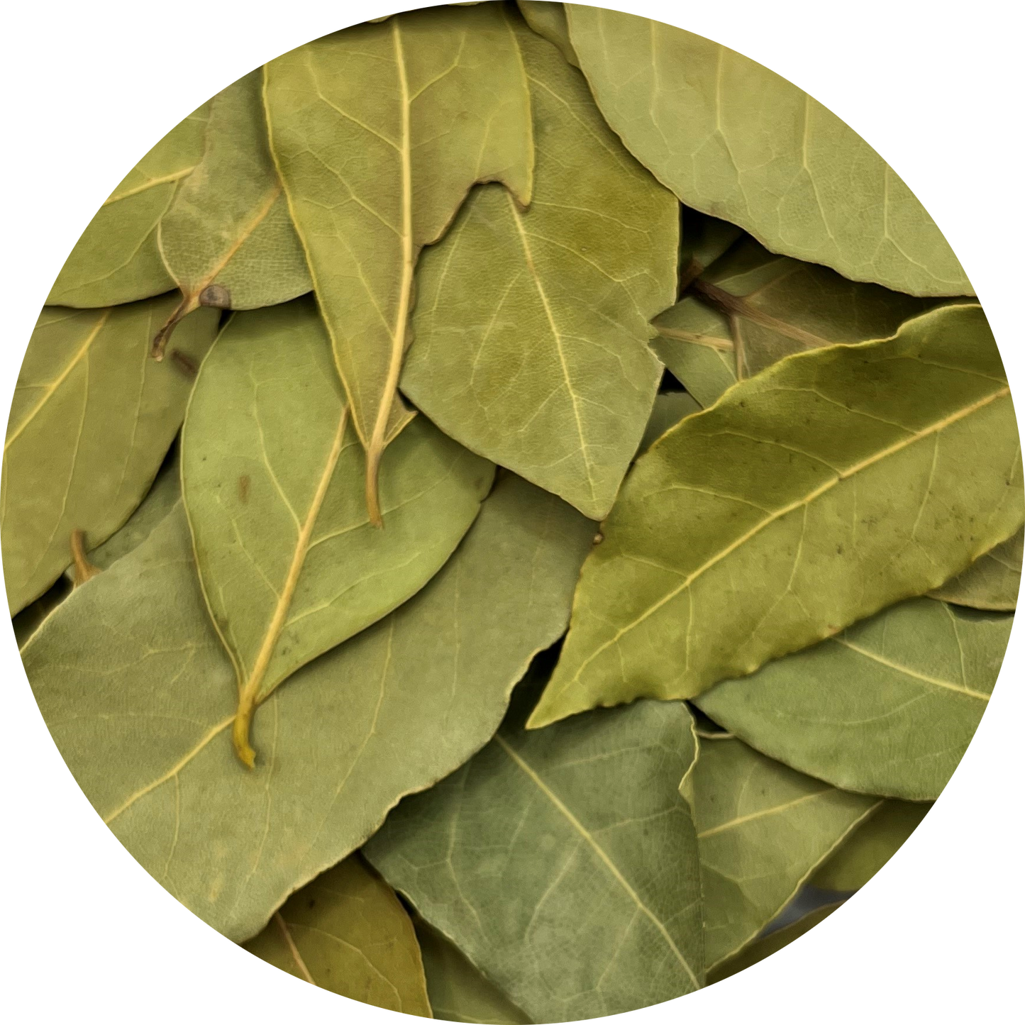 Bay Leaves | Whole
