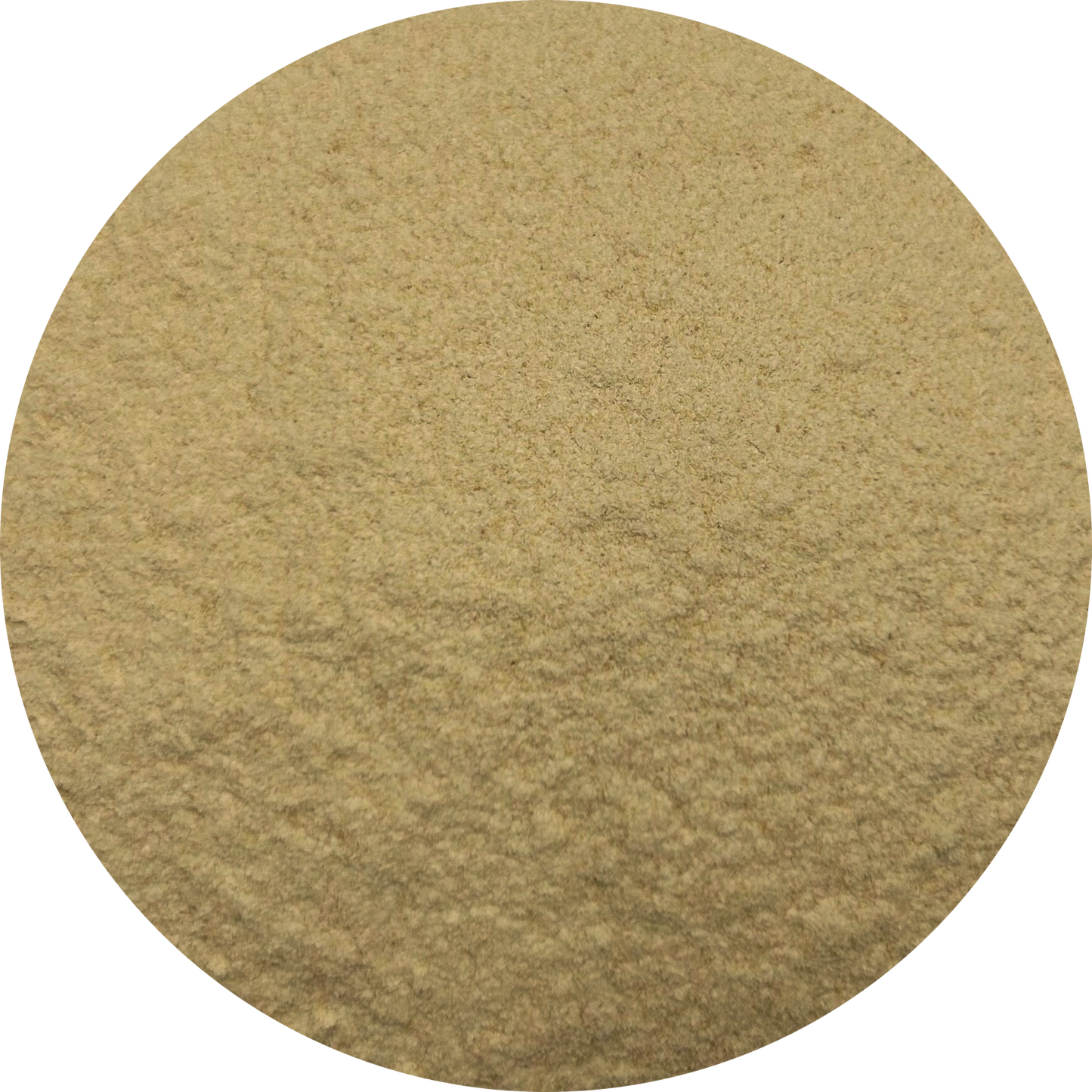 Garlic | Powder