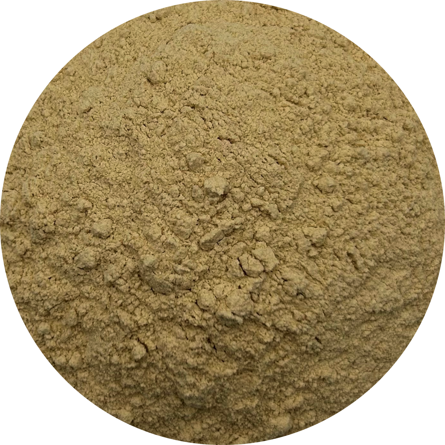 Onion | Powder