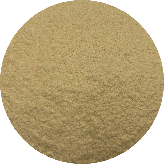 Garlic | Powder