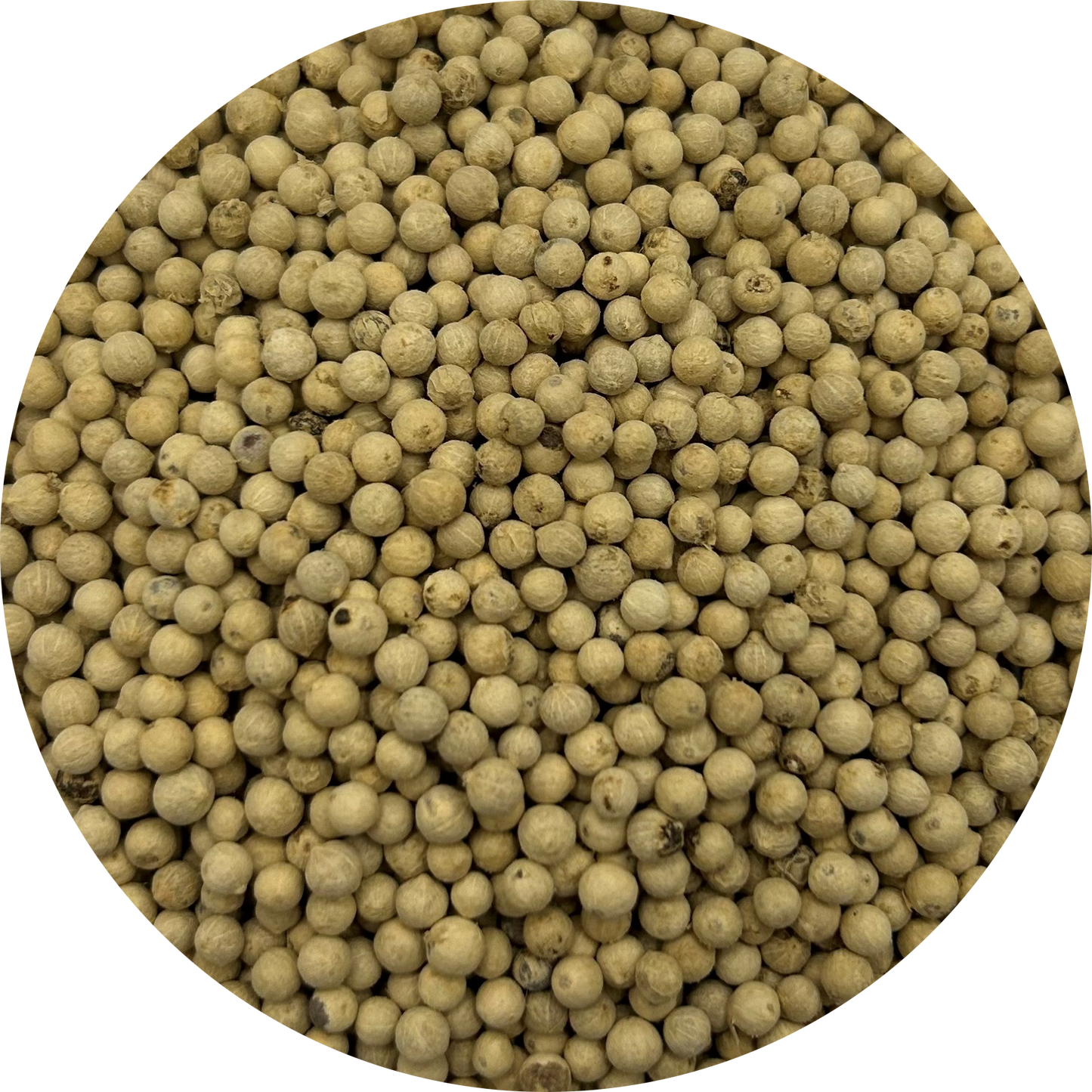 White Pepper | Whole